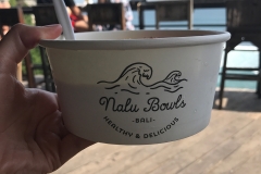 Nalu Bowl @ Single Fin