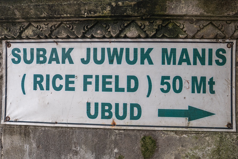 Subak Juwuk Manis rice field reisfeld sweet orange warung